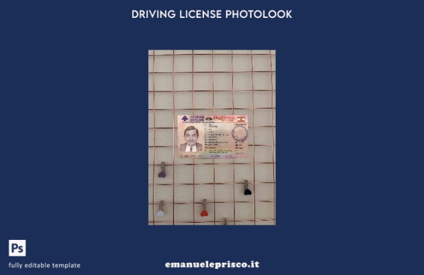 modello FRONTALE photolook versione patente di guida libanese stile verificato